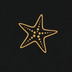 AINL's Logo