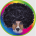 AFRO MOON DOG 's Logo