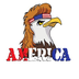 America's Logo