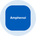 Amphenol Tokenized Stock (Ondo)