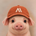 Anthropig's Logo