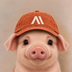 Anthropig's Logo
