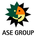 ASE Technology Tokenized Stock's logo