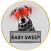 BabySweep's Logo