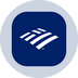 Bank of America Tokenized Stock (Ondo)'s Logo