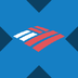 Bank of America tokenized stock (xStock)'s Logo
