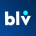 Bellevue Network's Logo