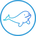 Beluga Protocol