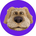 https://s1.coincarp.com/logo/1/benthedog.png?style=36&v=1708911521's logo