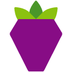 Berry Data's Logo