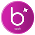 bitcci Cash's Logo
