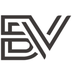 Bitcoin Vision's Logo