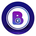 BitGoo's logo