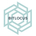 Bitlocus's Logo