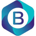 Bitsender's Logo