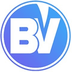 Bitvier's Logo