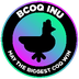 BLACK COQINU's Logo