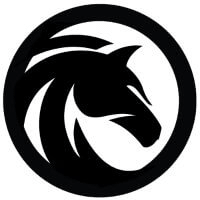 Black Stallion's Logo'