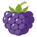 BlackBerry Token's Logo