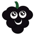 BlackBerry Network's Logo