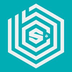 BlockchainSpace's Logo