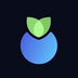 Blueberry Protocol's Logo