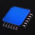 blue chip's Logo