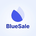 BlueSale Finance