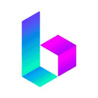 BORA's Logo'