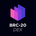 https://s1.coincarp.com/logo/1/brc-20dex.png?style=36&v=1705629676's logo