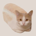 BreadCat's Logo