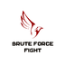 BruteForceFight's Logo