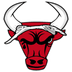 Bull Coin's Logo
