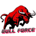 Bull Force Token's Logo