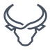 Bull Run's Logo