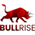 BullRise's Logo