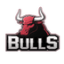 BULLS's Logo