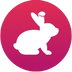 BunnyToken's Logo