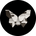 https://s1.coincarp.com/logo/1/butterflydao.png?style=36&v=1651225692's logo