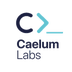 Caelum Labs's Logo
