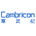 Cambricon Tokenized Stock (688256)