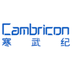 Cambricon Tokenized Stock (688256)'s Logo