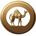 Camelsa's logo