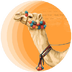 CamelToken's Logo