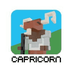 Capricorn Finance's Logo