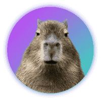 Precio de Capybara ahora, precio de CAPY en vivo, capitalización de  mercado, gráfico e información | CoinCarp