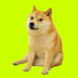 Cash Dog (cashdog.club)'s Logo