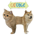 CAT DOGE's Logo