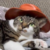 cat wif hat's Logo