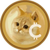 CATCOIN's Logo